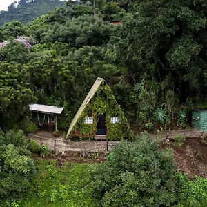 Earth Antigua